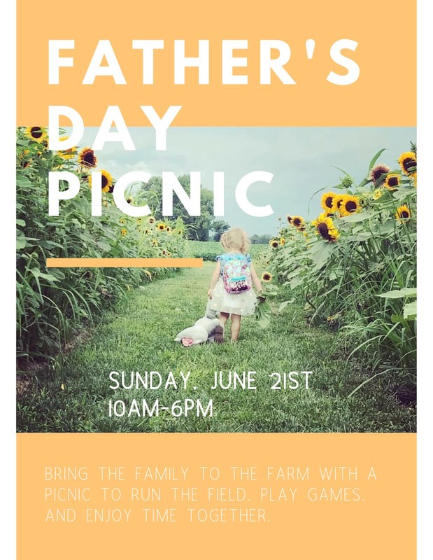 fathers day picnic